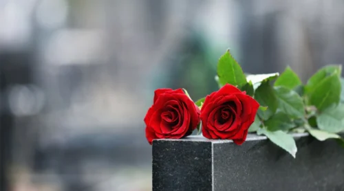red roses on a tombstone