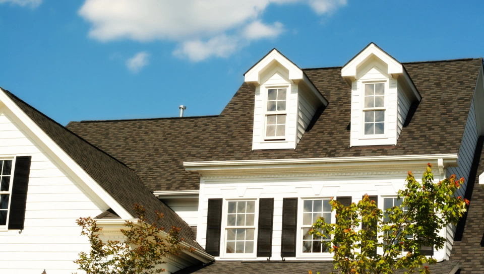 new estate house with clean exterior and roofing